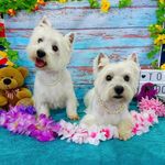 Ann Downes - @ann.downes.7547 - Instagram
