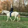 Ann Dudley - @anndudley3 - TikTok