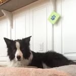 Ann Dudley Schwab - @schwab.ann - Instagram
