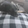 AnnDeb Dudley - @anndeb.dudley - TikTok
