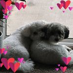 Ann Dunlap - Facebook
