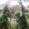Anndunlap1129 - @anndunlap1129 - TikTok