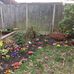 Ann Dunning - Facebook
