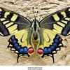 anndunning475 - @anndunning475 - TikTok