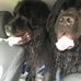 Ann Durkin - Facebook
