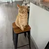 Ann Durst - @ann.durst6 - TikTok