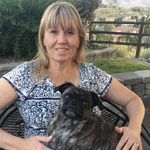 Ann Dutton - @pugluvr1000 - Instagram