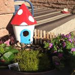 Ann Dyck - Facebook