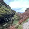 Anne Eadie - @anne.eadie - TikTok