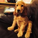 Carol Ann Eadie - @carol.a.eadie - Instagram