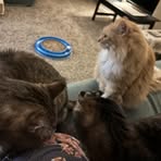Ann Eads - Facebook