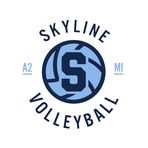 Ann Arbor Skyline Eagles Volleyball - Facebook
