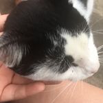 Rebecca Ann Eagles - @eaglesr73 - Instagram