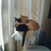 Anne Akin - Facebook