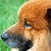 Anne Akin - Facebook