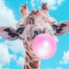 annearl - @annearl.work2 - TikTok