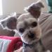 Anna Earls - Facebook