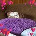Anne Earls - Facebook