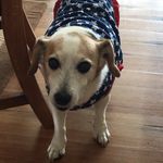 Ann Early - @early_bird_9 - Instagram