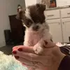 Ann Wagner Easley - @the.original.miranda - TikTok