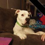 Dianna Lynn Easterbrooks - @diannaeasterbrooks80 - Instagram