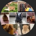 @annora_eastham2 - Instagram