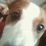 shirley ann Eastham - @sissyboo22 - Instagram