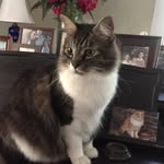 Ann Eberhardt - @ann_eberhardt - Instagram