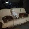anneeberle896 - @anneeberle896 - TikTok