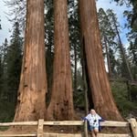 Ann Ebert - @travelgirl59 - Instagram