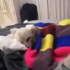 Anna Eccles - @anna.eccles - TikTok