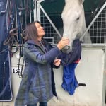 Ann Eccleston - @anneccleston1 - Instagram