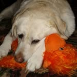 Ann Marshall Eckard - @anneckard0918 - Instagram