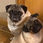 Ann Eckhart - @ann_marie_eckhart - Instagram