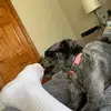 Anna sucks - @.annaeckley - TikTok