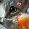 EDDIE - @eddie_mannnn - TikTok