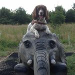 Ann Eddington - @anneddington872 - Instagram