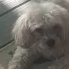 Ann Eddins - @anneddins - TikTok