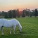 Ann Eddy - Facebook