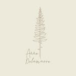 Anne Delamarre photographe - @annedelamarre_photographie - Instagram