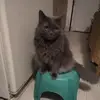 annaedelman447 - @annaedelman447 - TikTok