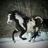 Ann Eddleman - @ann.eddleman - TikTok