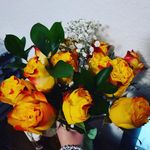 Cecilia Ann Edson - @cecilia_ann_edson - Instagram