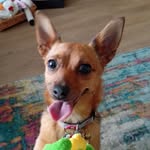 Ann Egan - @annegan285 - Instagram