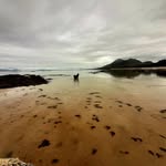 Ann Egan - @anntegan - Instagram