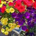 Ann Egbert - Facebook