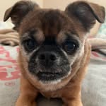 Ann Eggleston - @anneggleston65 - Instagram