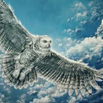 Ann Egglestone - Facebook