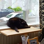 Doreen Ann Eggleton - @eggletondoreen - Instagram