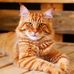 Doreen Ann Eggleton - Facebook